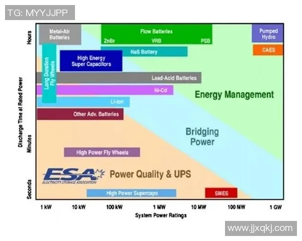 西安排球队技术表现的深入数据分析与战术探讨